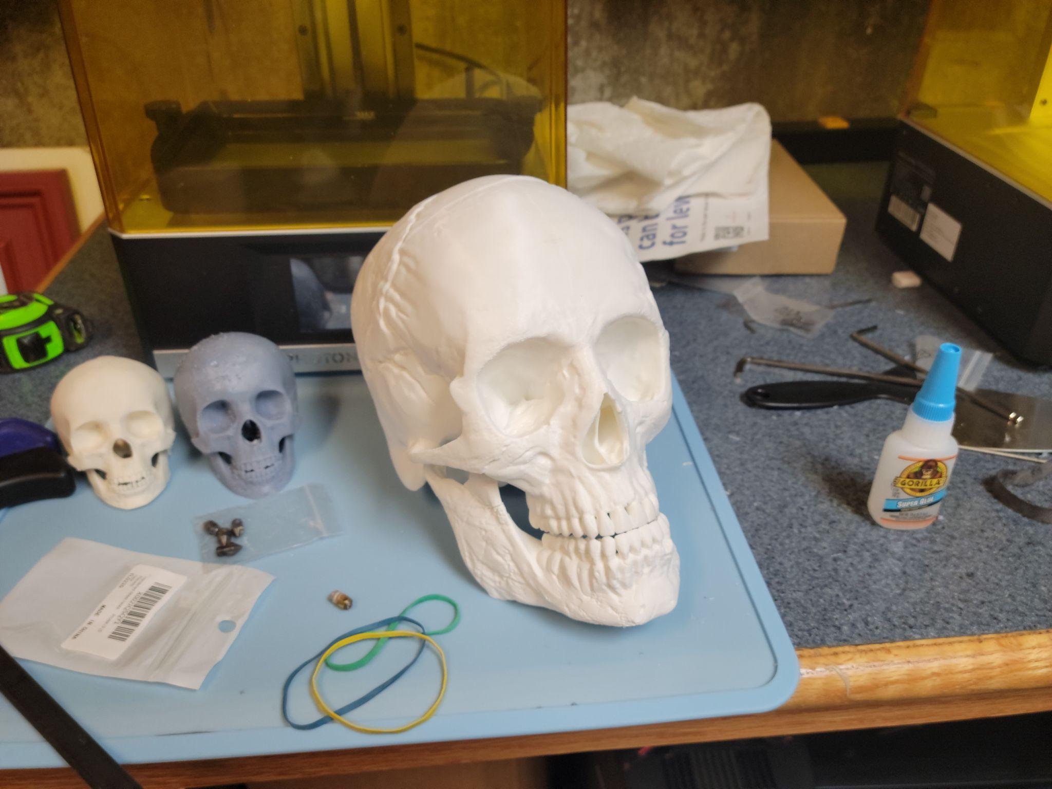 Skull detail